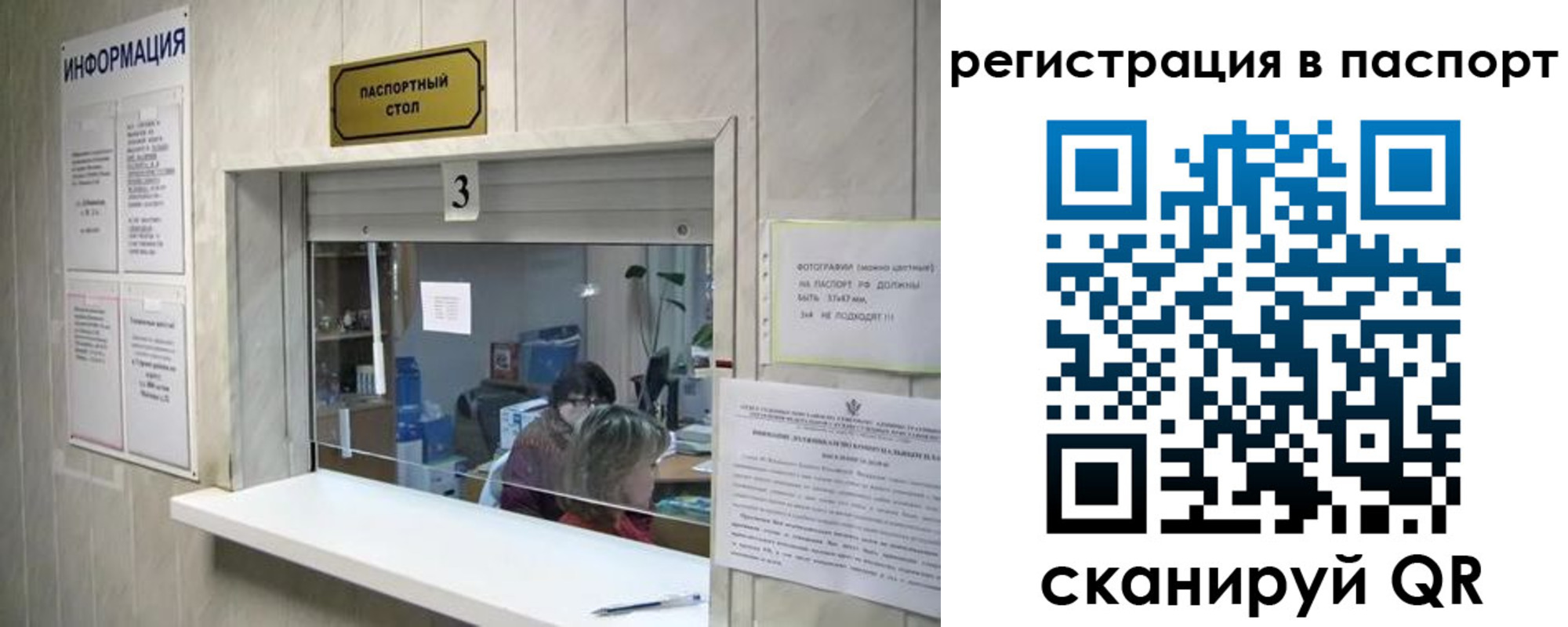 прописка поиск в Тольятти